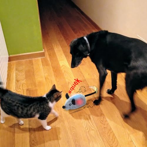 BABORUI Interactive Dog Toys Mouse, Remote Control Escaping Mice Squeaky Dog Toy with Lights & Auto-Turn, Rechargeable Moving Dog Toys for Small/Medium/Large Dogs & Cats(Grey) - color: Remote Control