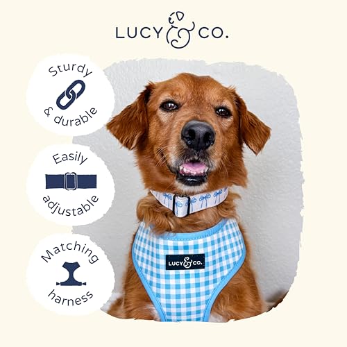Lucy & Co. Dog Collar - Durable Lightweight Designer Collar for Pets - Adjustable Metal Safety Buckel - Small - White with Blue Bows - color: Bowwow Wow!, size: Small