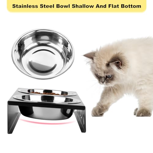 All-Metal Cat Food Bowl Raised, 5.5" WideTilted Whisker-Fatigue Pet Dish, Anti-Vomiting, 2 Stainless Steel Bowls for Food Water, Non-Slip Elevated Cat Feeding Stand for Indoor Multi Cats,Puppy, Black - color: Black-1