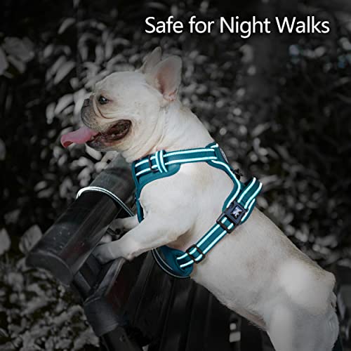 PoyPet No Pull Dog Harness, No Choke Reflective Dog Vest, Adjustable Pet Harnesses with Easy Control Padded Handle for Small Medium Large Dogs(Tumalo Teal,XS) - color: Tumalo Teal, size: XS