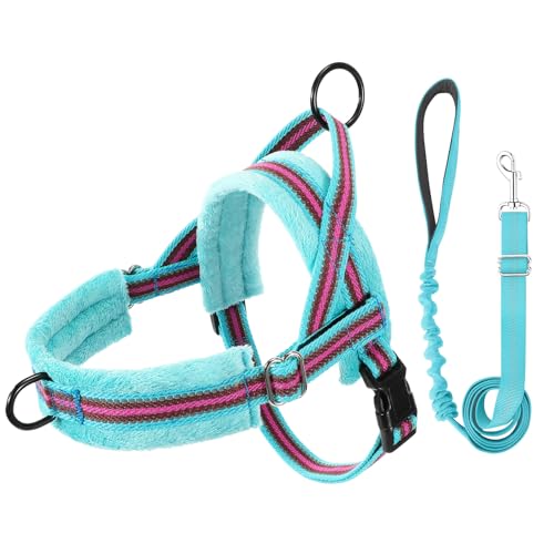 Lukovee No Pull Dog Harness and Leash Set, Soft Padded Small Dog Harness, Neck & Chest Adjustable Reflective Vest Puppy Harness with 4ft Lightweight Anti-Twist Dog Leash for Small Dogs (XS, 01-LBL) - color: Light Blue - with Stripe, size: XS ( Chest 14''