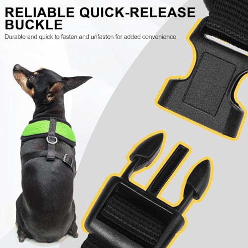BINGPET Small Dog Harness, No Pull Dog Harness Small Sized Dogs, Soft Light Breathable Mesh Puppy Vest with Safety Buckle-Adjustable Step in Pet Harnesses for Easy Walking, Running, Training - color: Green, size: XS (NECK: 10", CHEST: 10"-14")