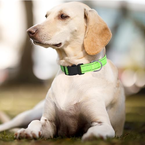 Dog Collars Adjustable for Puppy and Small Dogs,Heavy Duty Waterproof Dog Collar with Quick Release Buckle,Girl Boy Female Male Reflective Nylon Dog Collar with Soft Neoprene Padded,XS,Green - color: Green, size: X-Small
