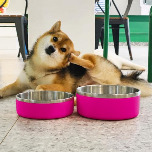 2 Pack Stainless Steel Dog Bowls, Outdoor Dog Water Bowl with Non Slip Rubber Bottom, Dishwasher Safe, Easy to Clean,40oz&64oz Pitaya - color: PITAYA