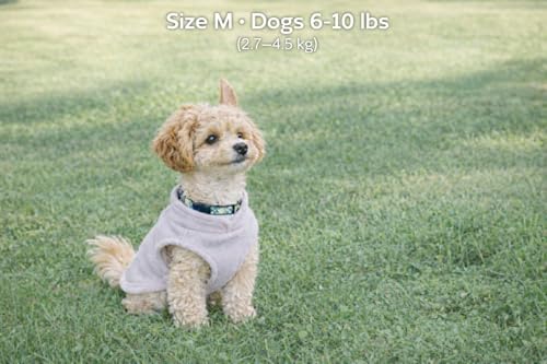 JACKO & CO - Fleece Vest Dog Sweater with Leash Ring - Soft, Warm & Lightweight Pullover Coat for Small & Medium Dogs, Puppies & Cats - Cozy Fall/Winter/Spring Pet Jacket (Grey, Small 4-6lbs) - color: Grey, size: S (4-6lbs)