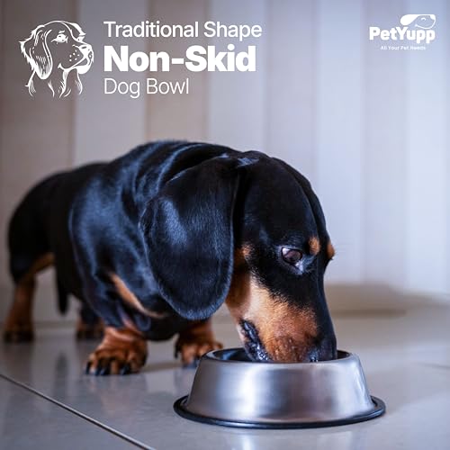 Stainless Steel Non Skid Dog Bowl – Non-Slip Rubber Base, Rust-Proof & Dishwasher Safe – Durable Food and Water Bowl for Dogs and Cats – 24oz - size: Non Skid Bowl - 24 oz