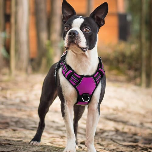 rabbitgoo Dog Harness Small Sized, No Pull Dog Vest with 3 Buckles, Adjustable Soft Padded Pet Harness with Easy Control Handle and Reflective Strips, Purple, S - color: Purple, size: Small