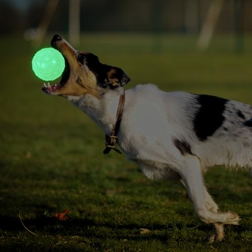 LECHONG 4-Pack 2.5” Glow in The Dark Squeaky Dog Balls, Durable Glowing Bouncy Rubber Fetch Toy Balls for Small Medium Puppy Dogs Nighttime Playing Indoors and Outdoors - size: 2.5in Medium