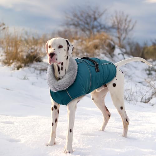 Lelepet Warm Dog Coats for Small Dogs Waterproof Dog Winter Jacket Reflective Pet Fleece Vest Windproof Cold Weather Coats with Adjustable Buckle & Leash Hole, Dark Green, S - color: Dark Green, size: S