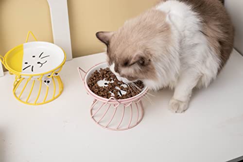 2PCS Ceramic Shallow Cat Food Dishes with Non-Slip Mat, Elevated Cat Food Bowl with Raised Metal Stand, Small Dog Bowl, Whisker Fatigue Pet Food Plate, Dishwasher Safe - color: Pink+Blue