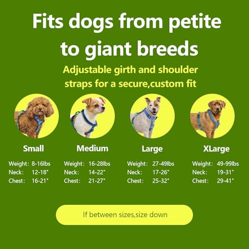 Roses&Poetry Dog Harness Medium Sized Dog, 6 Point Adjustable Fit No Pull Harness with Handle for Control and Easy Walking, Reflective Pet Halter Harnesses(Bluegreen-M) - color: BlueGreen(Harness Only Without Leash), size: Medium