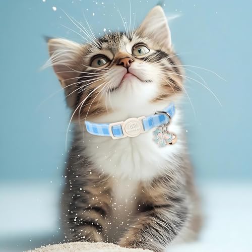 2 Pack Cute Cat Collars - Blue Plaid & Floral Breakaway Cat Collars, Adjustable Boy Girl Kitten Safety Collar for Small Dogs Puppy, Everyday Pet Collar with Bell & Pendant - color: Blue Plaid&Floral