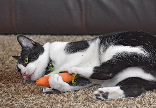 OurPets 100-Percent North American Catnip Filled Carrot Cat Toy 24 Karat - size: 1