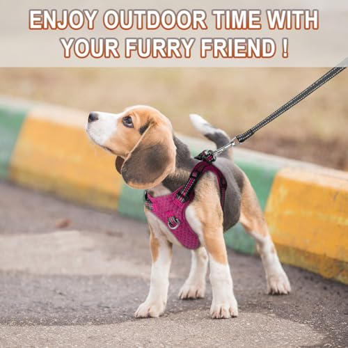 Dog Harness Step in Dog Vest Harness, Reflective Adjustable Puppy No Pull Harness Breathable Soft for Small and Medium Dogs Cats, Pink/Black, XS - color: Pink/Black, size: X-Small