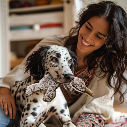 No Stuffing Dog Squeak Toys- Chew Toys for Small Medium Large Breed- Durable Puppy Teething Interactive to Keep Them Busy- Best Birthday Gift(Platypus) - color: Coffee