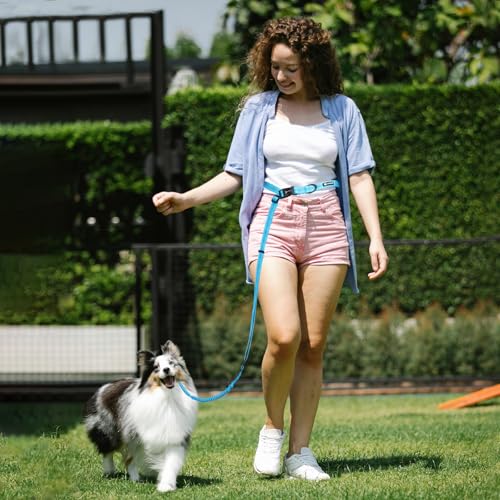 Heavy Duty Multifunctional Adjustable Hands Free Dog Leash - Reflective Stitches, Car Safety Buckle, Waist Leash for Dog Walking, Running, Hiking - 5-7FT - color: Blue