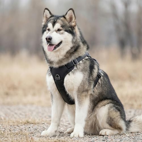 CANAGAN Premium Vegan Leather Dog Harness – Adjustable No Pull Vest for Extra Large Dogs, Heavy Duty, Durable Zinc Alloy Buckles, Dual Leash Clips & Handle – Daily Walks & Outdoor Use – Black - size: XL: Chest(27" - 38")