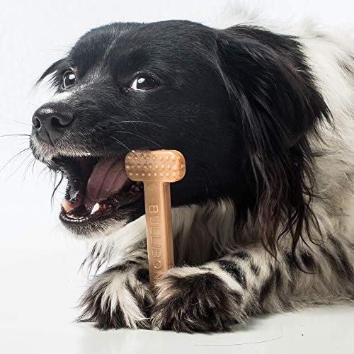 Bullibone Nylon Dog Chew Toy for Aggressive Chewers - Dental Hygiene Bone with Peanut Butter Flavor, Durable Tough Chew Toys for Small Dogs, Indestructible Dog Bone - 3 Pack - size: Small - 3 Pack
