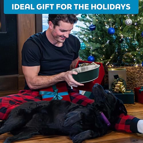 Master Pet Supply Stainless Steel Dog Bowls Set of 2 (128 Oz Each) with Non-Slip Rubber Base - Stainless Steel - Basic Dog Food Bowl Water & Food Bowls for Small Medium Large Dogs & Cats, Metal Dish - color: Stainless Steel, size: 16 Cups (128 oz) 2 Pack