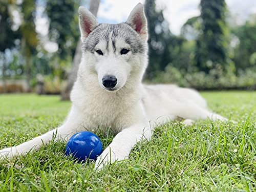 SuperChewer Tough Dog Ball Toy | Lifetime Replacement | Strong Natural Rubber | Great Dog Fetch Toy | Chew Toys for Dogs | Ultra Durable Chew Toys for Aggressive Chewers | Large Breed Tested - size: Large - 3 Inch / 12 oz