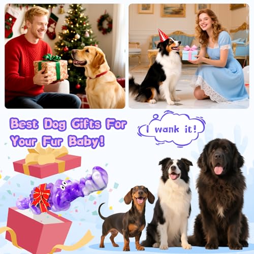 Squeaky Dog Chew Toys for Aggressive Chewers - Tough Crocodile Chew Toy for Small Medium Large Dogs, Dental Cleaning & Anxiety Relief, Boredom Buster (Purple) - color: Purple