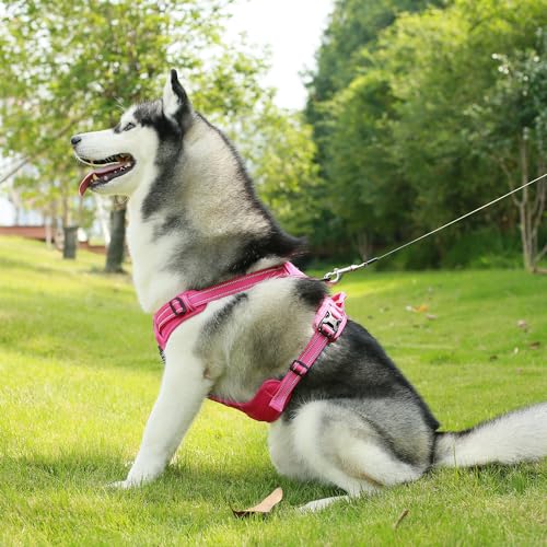 Voyager Dog Harness Dual Leash Attachment No-Pull Control Adjustable Soft but Strong Pet Harness for Medium and Large Dogs with 3M Reflective Technology, Leash Set Fuchsia Nylon, M (Chest: 20-25") - color: Leash Set Fuchsia Nylon, size: M (Chest: 20 - 25"