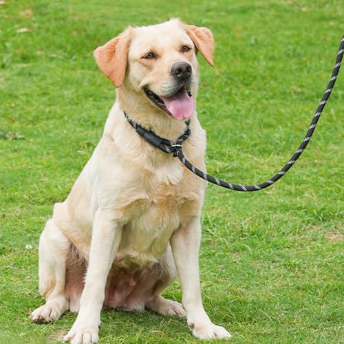 Double Slip Lead Dog Leash 3.6FT 0.4" Durable Heavy Duty No Pull Pet Walking Training Lead Leashes Rope Dual Slip Lead Rope Dog Leash for Double Dogs