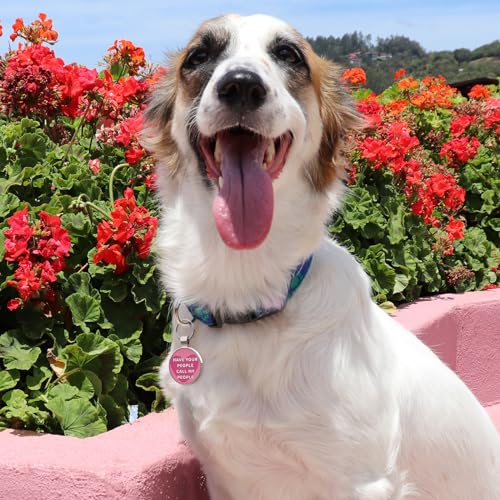 QR Code Pet ID | Personalized Dog & Cat Collar Tag | Online Profile with Instant Scanned Location Alert Email - style: Have your people-Pink