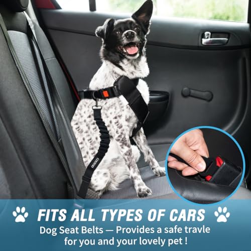 Dog Seat Belt, Durability Retractable Dog Car Harness Adjustable Dog Seat Belt for Vehicle Nylon Pet Safety Seat Belts Heavy Duty & Elastic - color: Set 01 Pack B-Blue