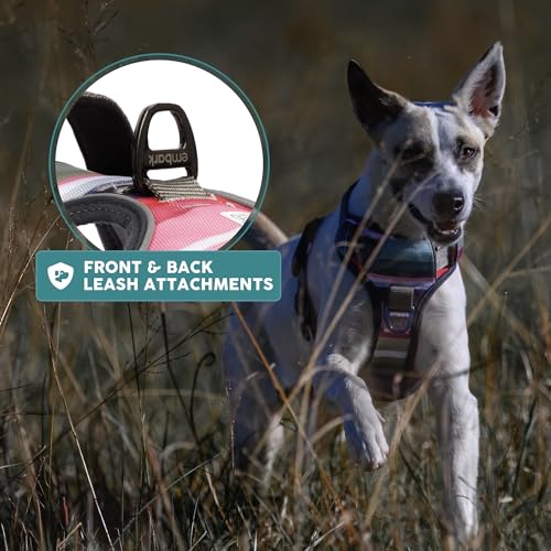 Embark Adventure Small Dog Harness – No-Pull, Reflective Trim, Military-Grade Nylon, Front Clip with Gel-Lined Handle, Soft & Padded - color: Baja, size: S