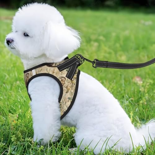 Otters Pet Harness Escape Proof Dog Harness Adjustable Mesh Padded Reflective Dog Vest Harness and Leash Set Small - color: Style 4, size: Small