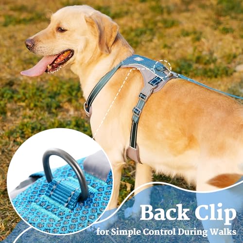 Huntboo No-Pull Dog Harness, Fully Reflective Vest with 2 Leash Clips, No-Choke, Adjustable, Breathable & Durable for Small, Medium & Large Dogs Walking, Training, Running (Teal Blue, L) - color: Teal Blue, size: Large (Pack of 1)