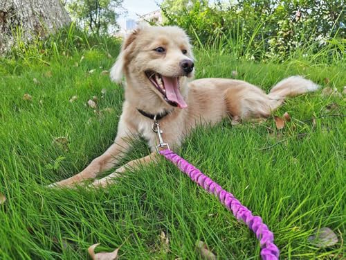 Bungee Dog Leash- 5FT Shock Absorbing & Reflective Nylon Leash| Anti-Pull Training for Small/Medium Dogs | 2cm Wide, 6 Colors (Black) - color: Black