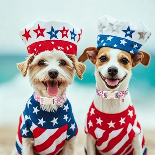 4th of July Dog Collar Blue Patriotic Dog Collars for Puppy Small Dogs - Lightweight Adjustable 1776 Boy Girl Puppy Collars Cute Independence Day Male Female Dogs Collar XS - color: 1776 Checkered, size: XS