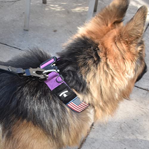 Heavy Duty Waterproof Dog Leash - Large Scissor Frog Quick Release Clasp, PVC Rubber Coated Nylon Training Lead for Large and X-Large Dogs, Odor Free, Durable, Easy to Clean, Nonslip Grip, Secure Hold - size: 3FTSM