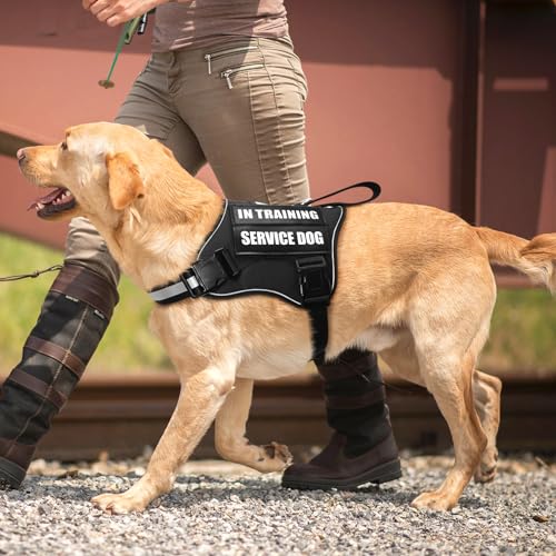 Service Dog Vest Harness and Leash Set+10 Patches,No Pull&Easy Walk Reflective Dog Harness with Soft Padded Handle for Training/Everyday,Fit Small/Medium/Large/Extra-Large Dogs(Black XL) - color: Black, size: Extra-large