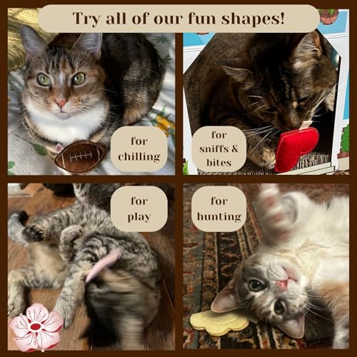 Catnip Toy – Heart Shape, Organic Catnip, 100% Wool Felt, Grown & Made in The USA - Red - color: Red, size: 1 pack