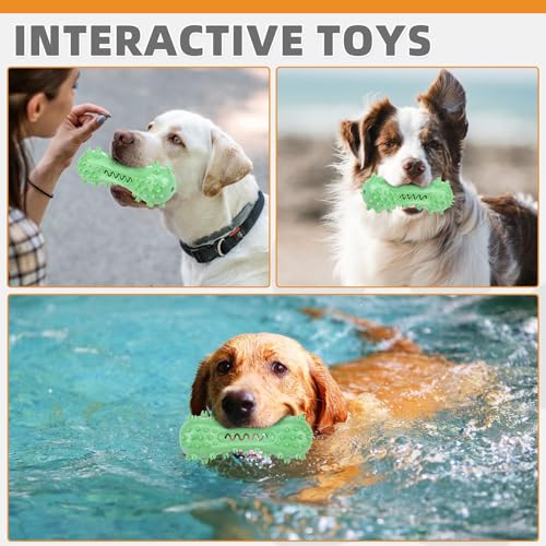 KOOLTAIL Floating Dog Toys for Swimming Pool,Summer Bumper Toy for Water,Indestructible Dog Toothbrush Chew Toy,Interactive Training Squeaky Toys for Aggressive Chewers Small Medium Large Dogs,Green - color: Green