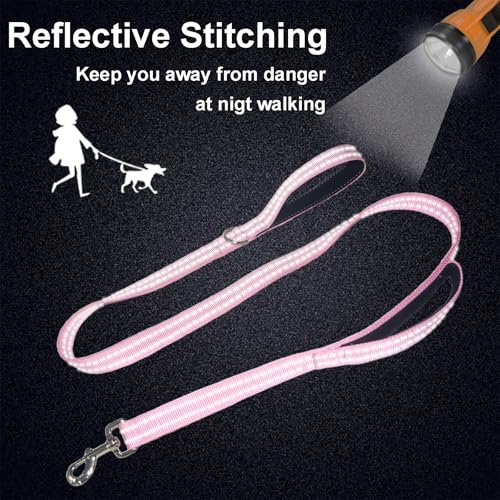 Dual Padded Handle Standard Dog Leashes with Reflective Stitching,360° Rotatable Heavy Duty Metal Buckle,D-Ring,Durable Nylon,for Medium Sized Dogs from 20 to 60 Pounds Walking and Training Pink 5Ft - color: Pink, size: 5Ft