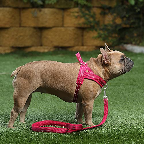 Plutus Pet No Pull Dog Harness with Breathable Mesh Padded, Adjustable Reflective Escape Proof Dog Harness, Quick Fit Dog Vest Harness for Small Medium Large Dogs(M, Pink) - color: Pink, size: M: chest 19.7"-25.2"