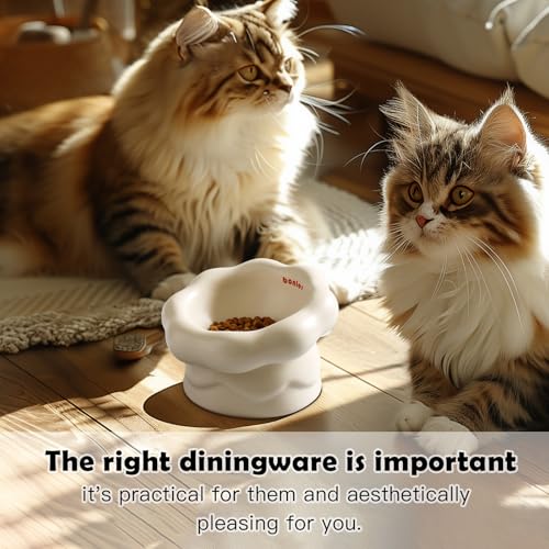 Cloud-Shaped Ceramic Cat Bowl - Elevated Raised Design for Indoor Cats & Kittens,Tilted Anti-Vomiting Shallow Dish with Spine Protection,Cute Whisker-Friendly Ceramic Food Bowls & Dishes (Milky White) - color: Milky White