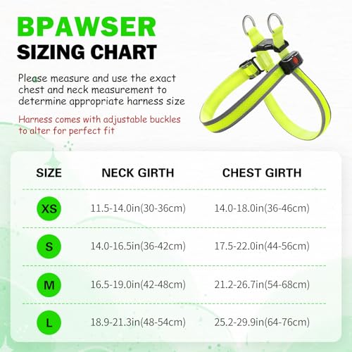 Light Up Dog Harness LED USB Rechargeable Lighted for Night Walking Adjustable Illuminated and Reflective Vest for Small Medium Large Dogs (Green, XS)