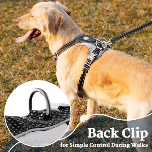 Huntboo No-Pull Dog Harness, Fully Reflective Vest with 2 Leash Clips, No-Choke, Adjustable, Breathable & Durable for Small, Medium & Large Dogs Walking, Training, Running (Black, L) - color: Black, size: Large (Pack of 1)