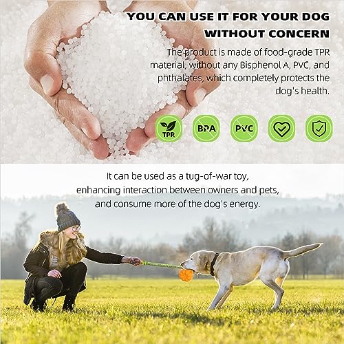 iFur Dog Pumpkin Fetch Toy, Interactive Tug of War Dog Toy, Boredom and Stimulating Chew Toys for Dogs, Tough Indoor/Outdoor Rope Enrichment Toy for Small Medium Large Breed (Fetch)
