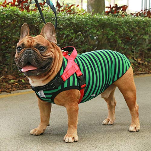 iChoue French Bulldog Harness Adjustable Padded Locked Buckle with Handle for Frenchie Pug English Boston Terrier Dogs, Red, Small - color: A Harness Red, size: Small ( 5 - 25 lbs )