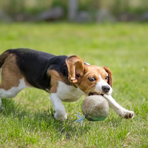 Nocciola Wobble Giggle Ball for Dogs, Interactive Dog Toys for Boredom, Squeaky Ball Dog Toys to Keep Them Busy, Pet Toys for Small Medium Large Dogs, Fun Giggle Sounds When Rolled or Shaken (S) - size: Small Size