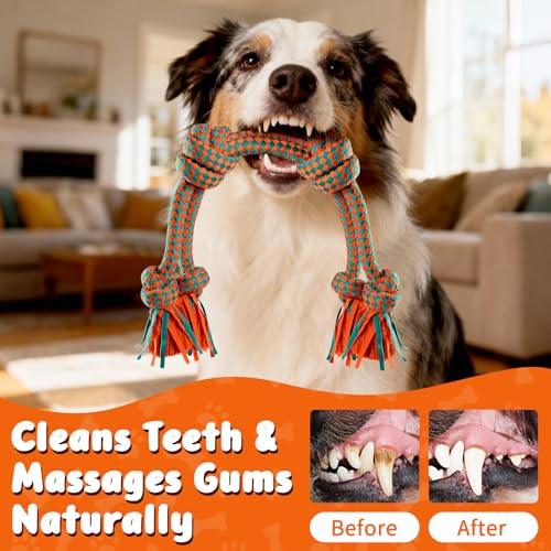 Interactive Dog Rope Toy for Large & Medium Dogs – Durable Tug of War Toy for Training, Boredom Relief & Teeth Cleaning, Safe Ultra-Fiber Chew Toy for Daily Play (Large) - size: Large