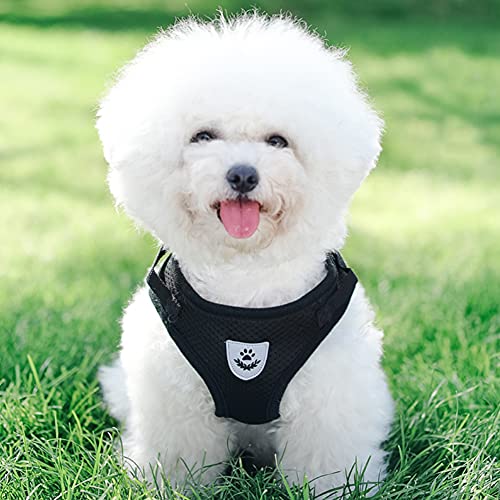 Dog Harness and Leash Set for Walking, Soft Mesh Adjustable Easy Control Lightweight Cat Vest Harnesses with Reflective Strips, Escape Proof Small Dogs Cats Vests (Black, Small) - color: Black, size: Small