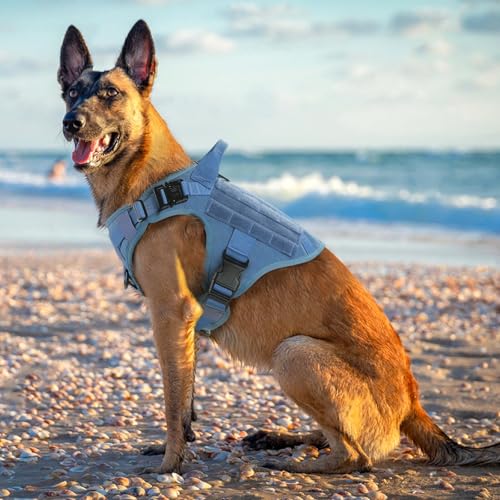 rabbitgoo Tactical Dog Harness Medium Sized, Heavy Duty Pet Harness with Handle, No-Pull Service Vest Medium Breed, Adjustable Military Dog Vest for Training Hunting Walking, Blue, M - color: Blue, size: Medium