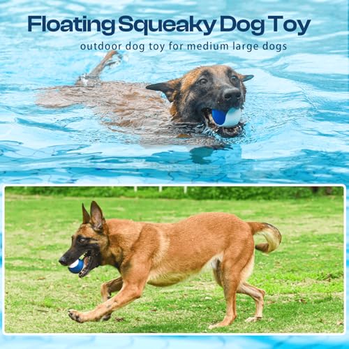 Squeaky Dog Toy – Durable Rubber Dog Ball for Medium & Large Dogs, Tough Interactive Fetch Toy for Chewers, Outdoor Training & Play Ball, Floating Water Play Gift.Red Black - color: Red Black